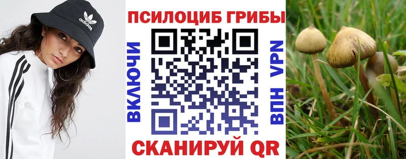 цена   Арсеньев  Галлюциногенные грибы MAGIC MUSHROOMS 