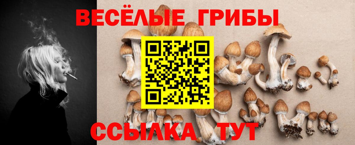 Галлюциногенные грибы Psilocybe  Галлюциногенные грибы Magic Shrooms  Арсеньев  Вход с VPN 